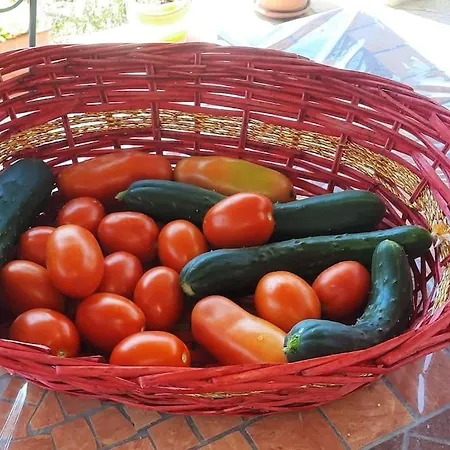 Ca' Doccio * Auditore